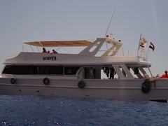 5 Days Diving + 1 Week Hotel, Sharm el-Sheikh, Egypt