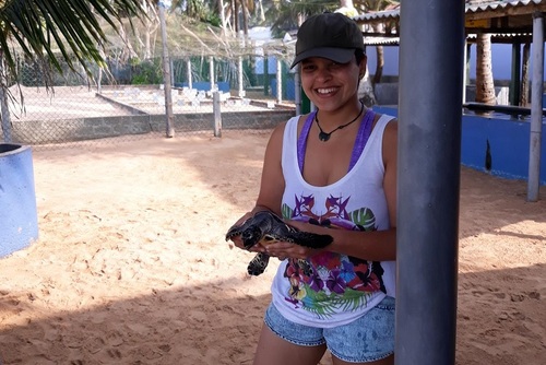 Should You Volunteer at the Kosgoda Sea Turtle Project in Sri Lanka?