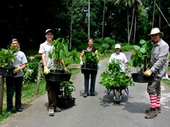 Wildlife conservation volunteering in Borneo