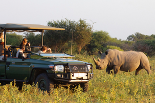 Safari Guide Training Courses
