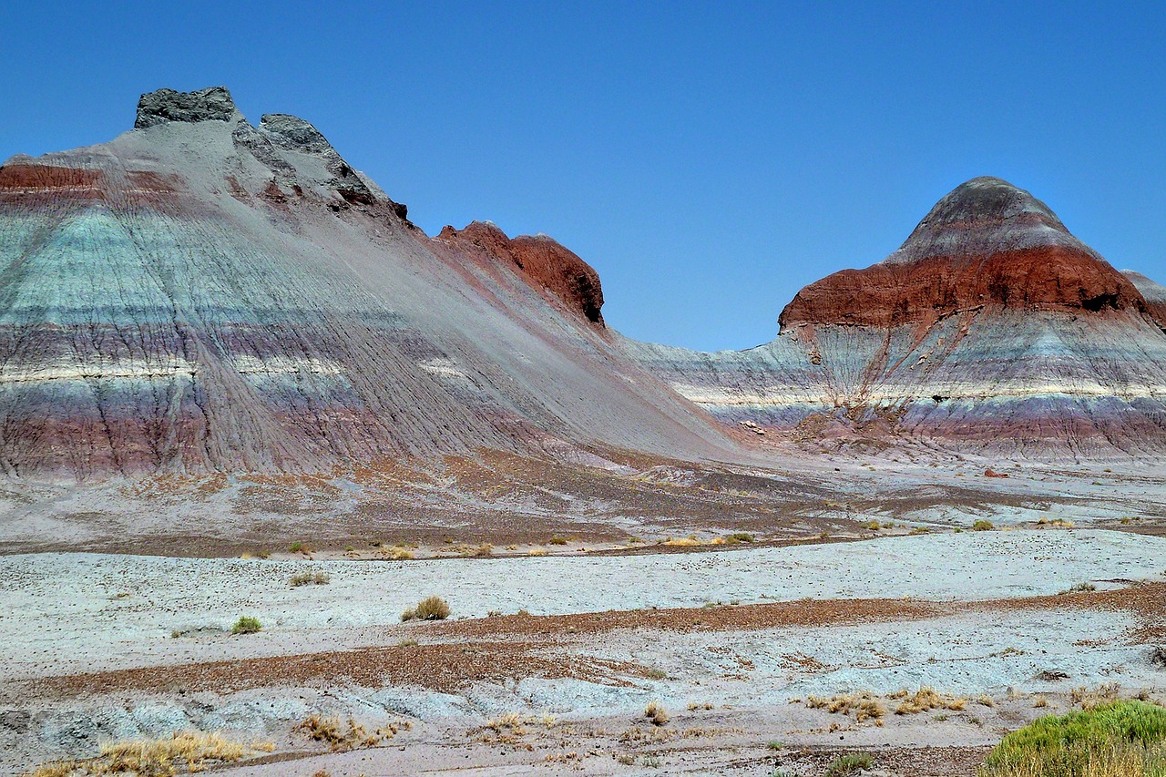 Petrified Forest, Arizona