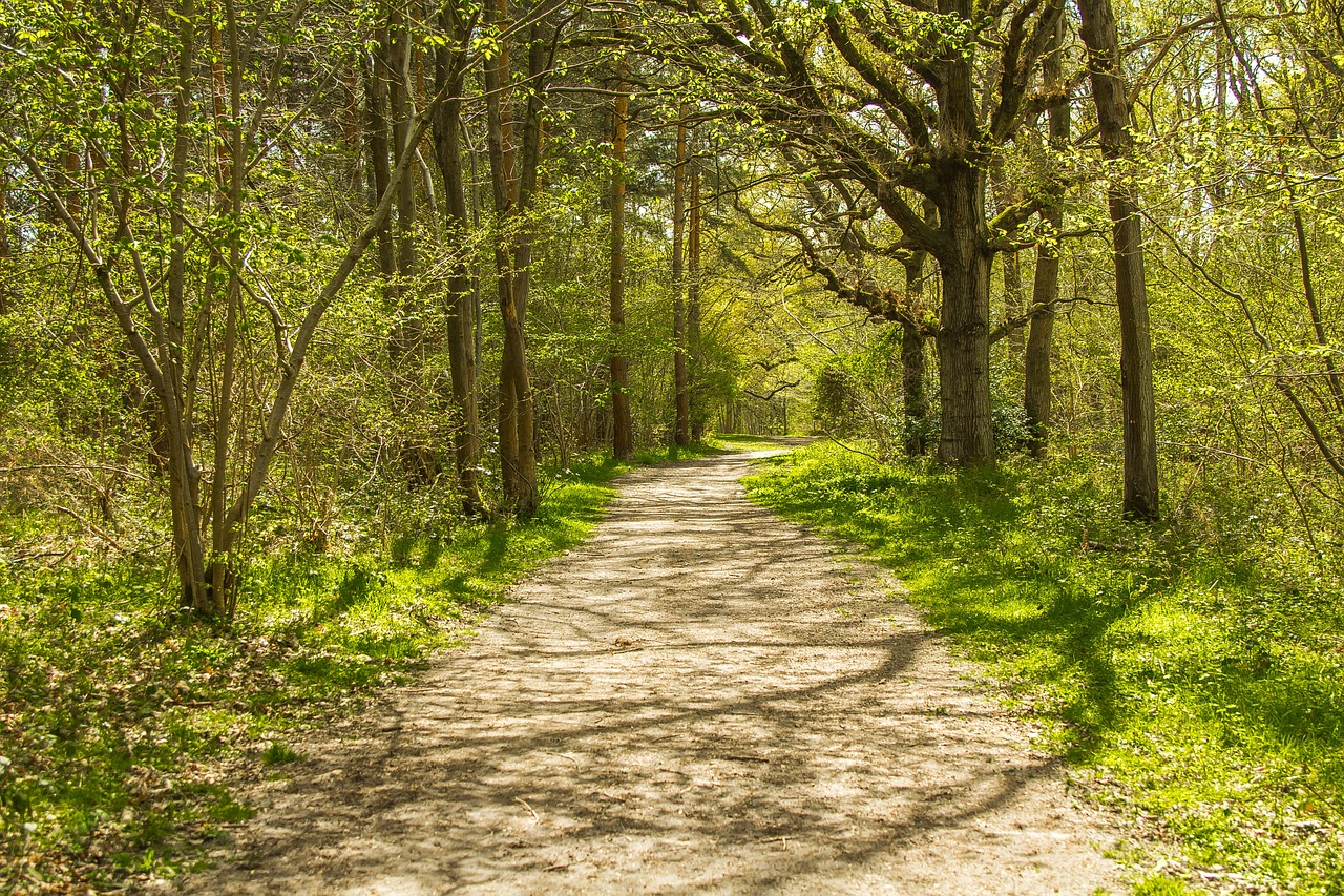 Hatfield Forest