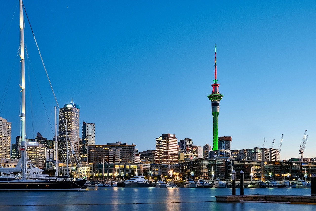 Smart Cities and Digital Innovations in New Zealand