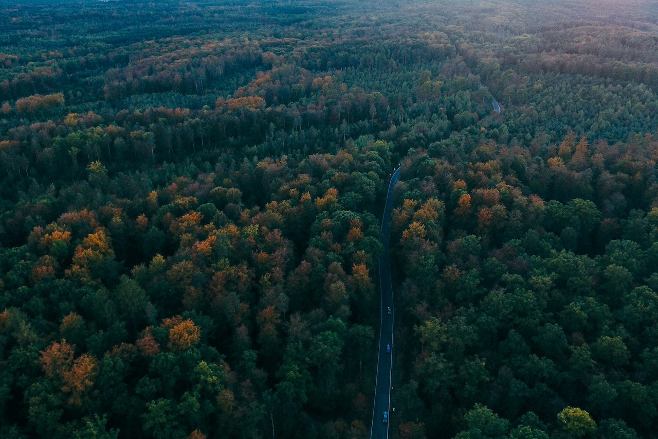 Black Forest High Road