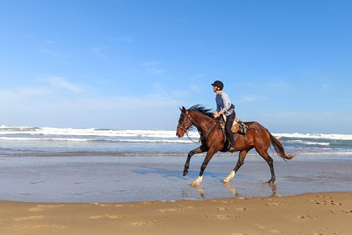 Wild Coast Working Riding Holiday