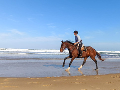 Wild Coast Working Riding Holiday