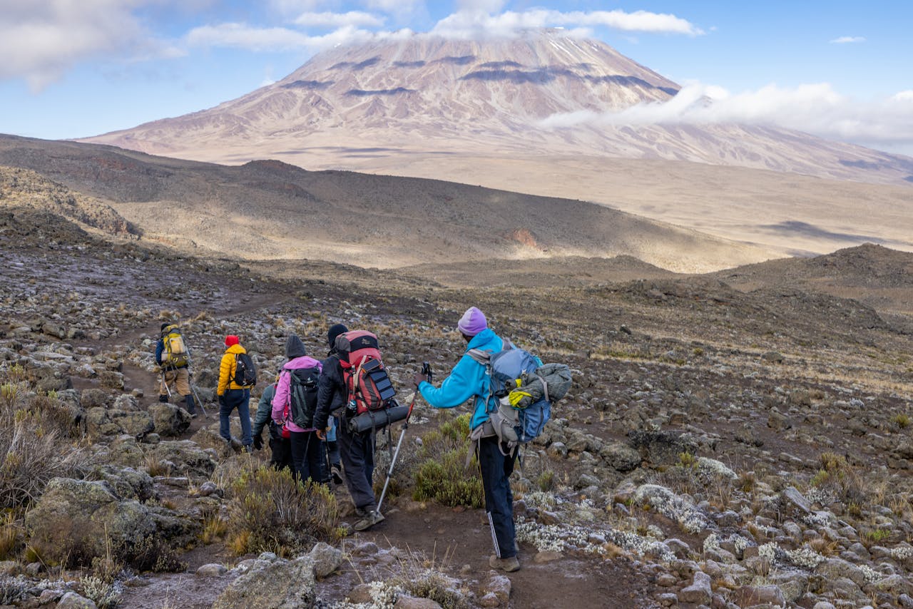 Kilimanjaro hikers