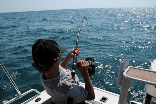 Fishing in Cabo San Lucas: The Ultimate Adventure with Boats Baja Fishing Charters