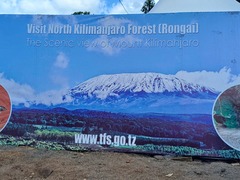 Kilimanjaro trekking 6 days adventure trip is an amazing Rongai route expedition